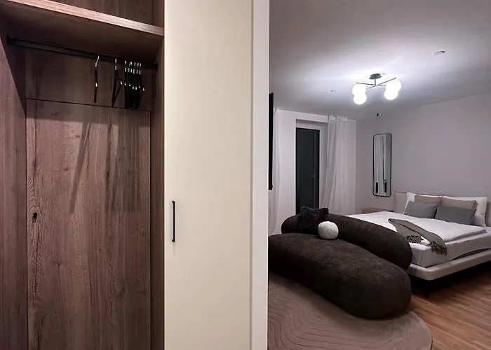 Modernes Inkl Garage Und Balkon Apartment Linz