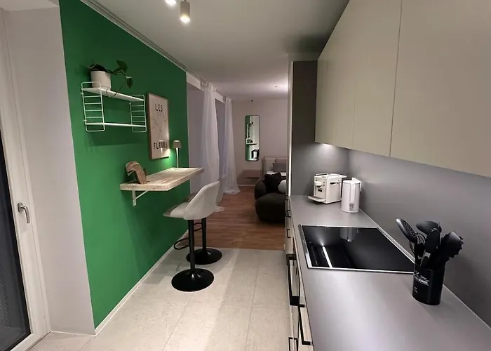 Apartament Modernes Inkl Garage Und Balkon Linz